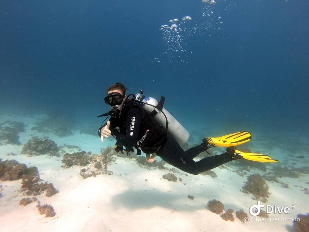 Discover Scuba Diver