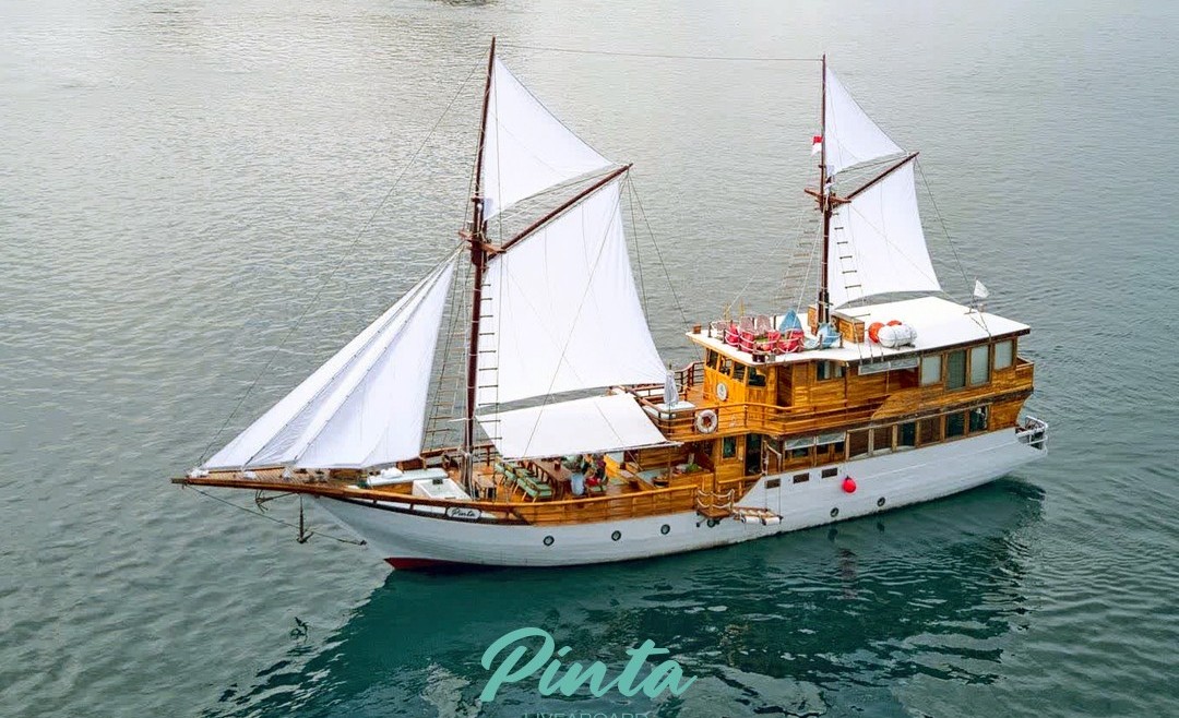 Pinta Liveaboard