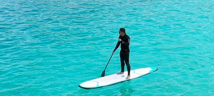 Paddle Board